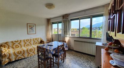 Two-room apartment of 60 m² in Matelica (62024)