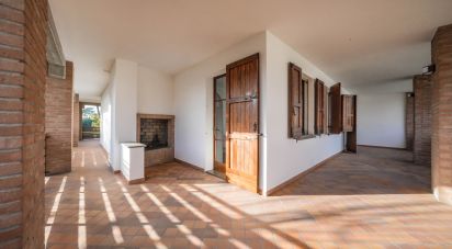 Casale 5 locali di 400 m² in Migliarino (44027)