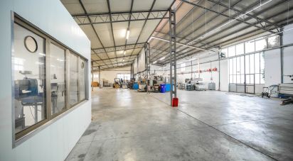 Warehouse of 1,350 m² in Ferrara (44124)