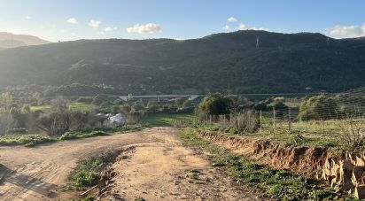 Terreno di 68.000 m² in Tortolì (08048)