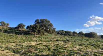 Terreno di 68.000 m² in Tortolì (08048)