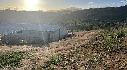 Terreno di 68.000 m² in Tortolì (08048)