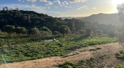 Terreno di 68.000 m² in Tortolì (08048)