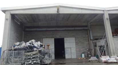 Warehouse of 3,803 m² in Carmagnola (10022)