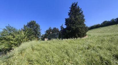 Rustico 0 locali di 300 m² in Offida (63073)