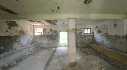 Rustico 0 locali di 300 m² in Offida (63073)