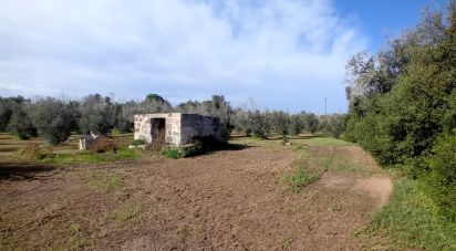 Terreno di 18.000 m² in Ortelle (73030)