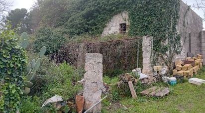 Terreno di 3.700 m² in Specchia (73040)