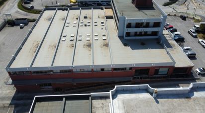 Warehouse of 549 m² in Civitanova Marche (62012)