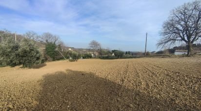 Terreno agricolo di 51.520 m² in Montefiore dell'Aso (63062)