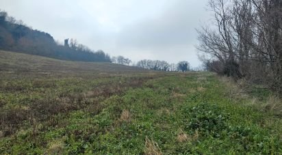 Terreno agricolo di 51.520 m² in Montefiore dell'Aso (63062)