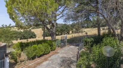 Casa indipendente / Villa 12 locali di 323 m² in Ancona (60121)