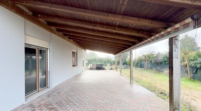 Trilocale di 120 m² a Saccolongo (35030)