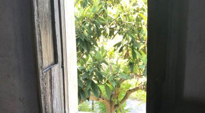 Rustico 5 locali di 95 m² in Belmonte Calabro (87033)