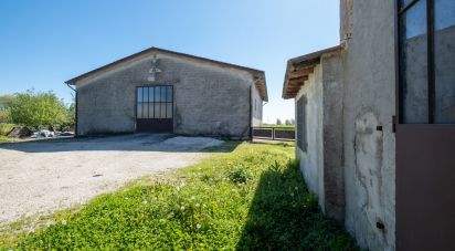 Rustico 13 locali di 500 m² in Castel Goffredo (46042)