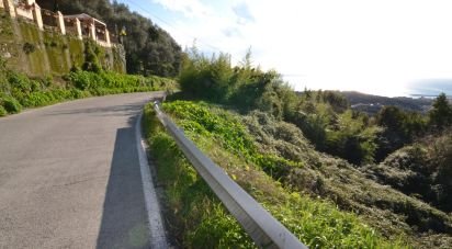 Terreno di 8.000 m² in Lavagna (16033)