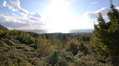 Land of 8,000 m² in Lavagna (16033)