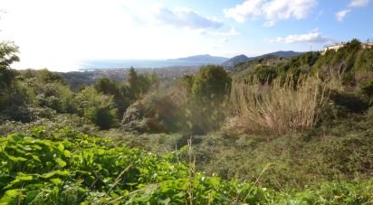 Terreno di 8.000 m² in Lavagna (16033)