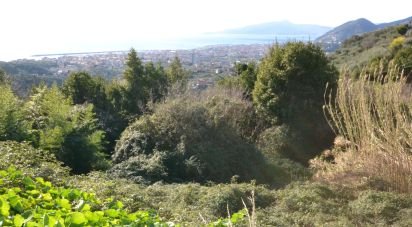 Terreno di 8.000 m² in Lavagna (16033)