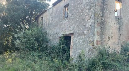 Farm land of 80,000 m² in Monterotondo Marittimo (58025)
