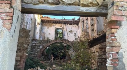 Farm land of 80,000 m² in Monterotondo Marittimo (58025)