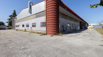 Warehouse of 980 m² in Monte San Vito (60037)