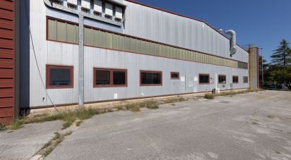 Warehouse of 980 m² in Monte San Vito (60037)