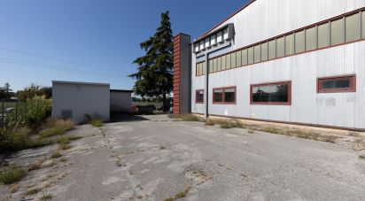 Warehouse of 980 m² in Monte San Vito (60037)