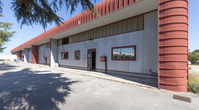 Warehouse of 980 m² in Monte San Vito (60037)