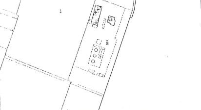 Other surface of 1,000 m² in Montechiarugolo (43030)