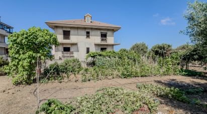 Costruzione di 406 m² in Joppolo (89863)