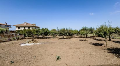 Costruzione di 406 m² in Joppolo (89863)