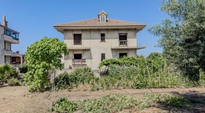 Costruzione di 406 m² in Joppolo (89863)