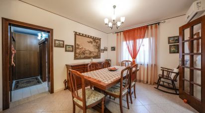 Casa indipendente 6 locali di 211 m² in Codigoro (44021)