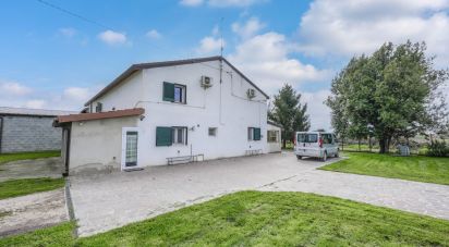 House 4 rooms of 645 m² in Jolanda di Savoia (44037)