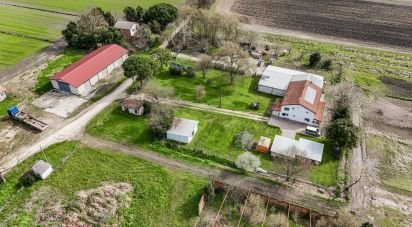 House 4 rooms of 645 m² in Jolanda di Savoia (44037)