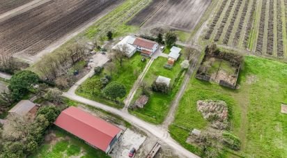 House 4 rooms of 645 m² in Jolanda di Savoia (44037)