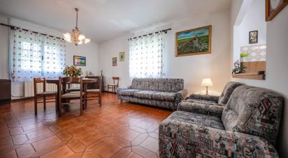 Casa indipendente / Villa 7 locali di 184 m² in Codigoro (44021)