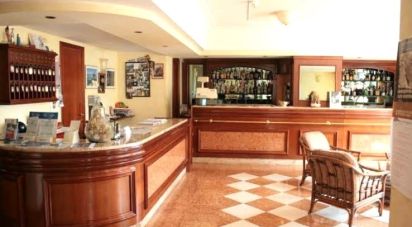 Hotel-restaurant of 1,200 m² in Palena (66017)