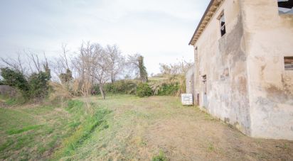 Casa indipendente / Villa 4 locali di 80 m² in Senigallia (60010)