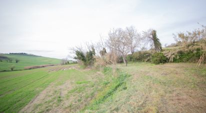 Casa indipendente / Villa 4 locali di 80 m² in Senigallia (60010)