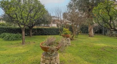 Three-room apartment of 70 m² in Borghetto Santo Spirito (17052)