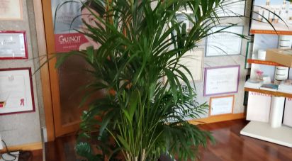 Negozio / locale commerciale di 100 m² in Morrovalle (62010)