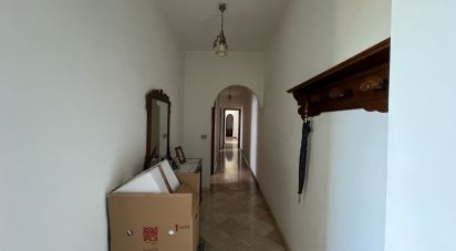 Appartamento 0 locali di 185 m² a Ilbono (08040)
