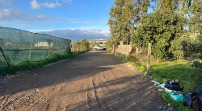 Terreno di 0 m² in Tortolì (08048)