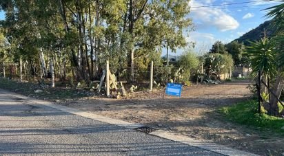 Terreno di 0 m² in Tortolì (08048)