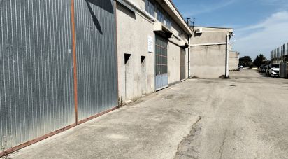 Warehouse of 220 m² in Silvi (64028)