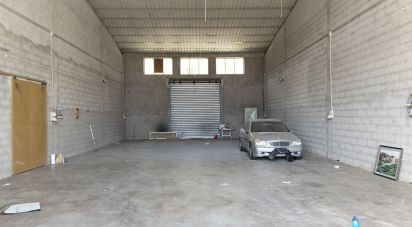 Warehouse of 220 m² in Silvi (64028)