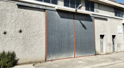 Warehouse of 220 m² in Silvi (64028)