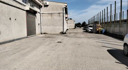 Warehouse of 220 m² in Silvi (64028)
